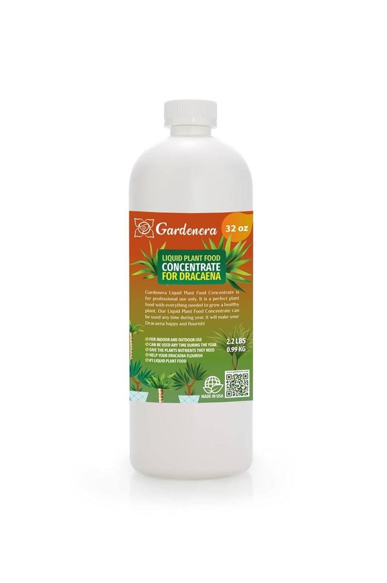 best plant food for dracaena Gardenera Plant Growth Superfood for DRACAENA with 18 Essential Vitami
