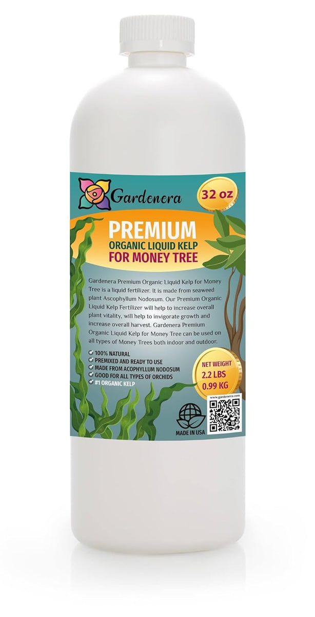 is seaweed fertilizer good for indoor plants GARDENERA Money Tree Superfood - 32 oz