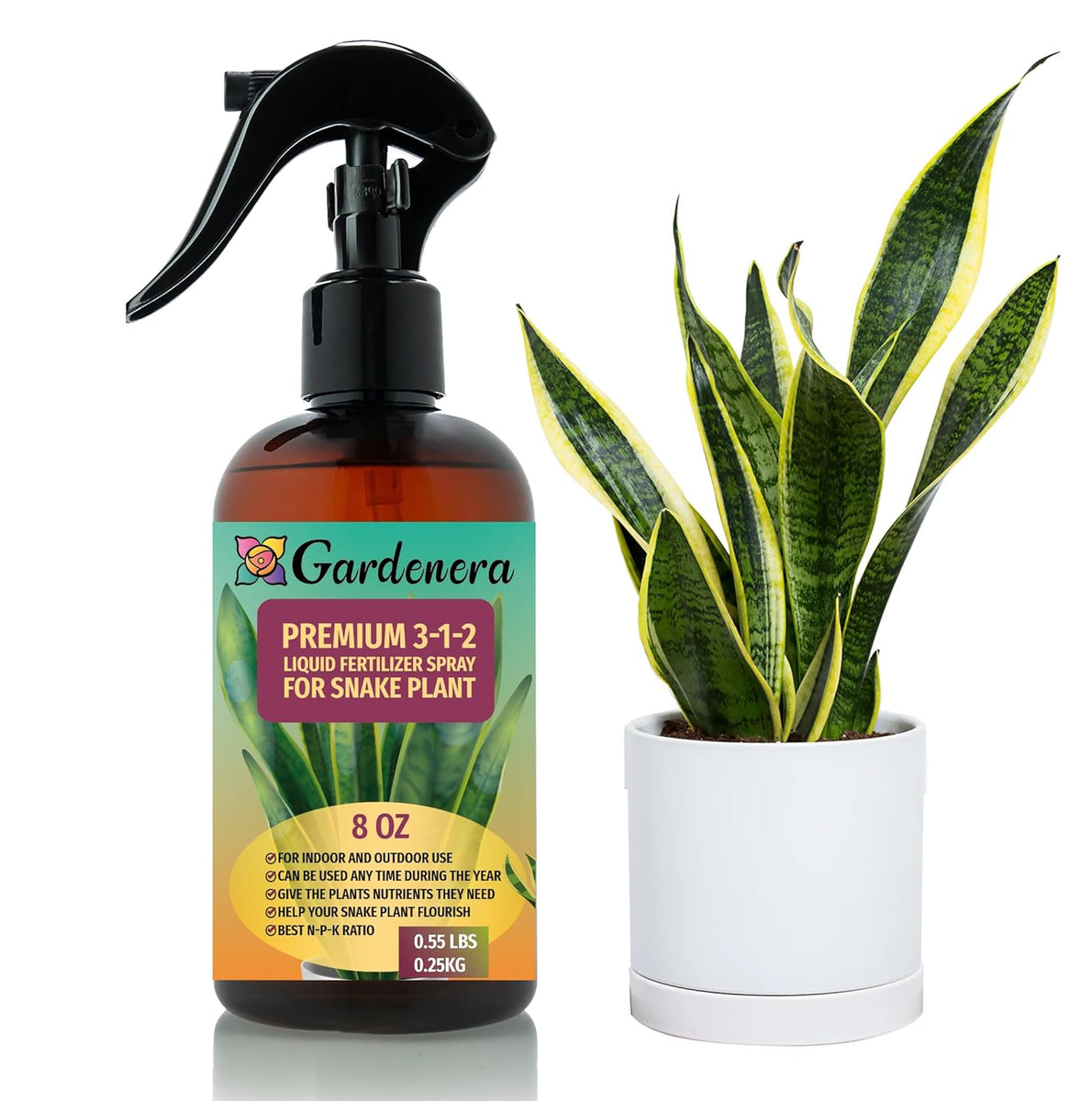 bad bunny snake plant Gardenera Proffesional SNAKE PLANT Spray Fertilizer Mist for Home Gard –  Gardenera.com