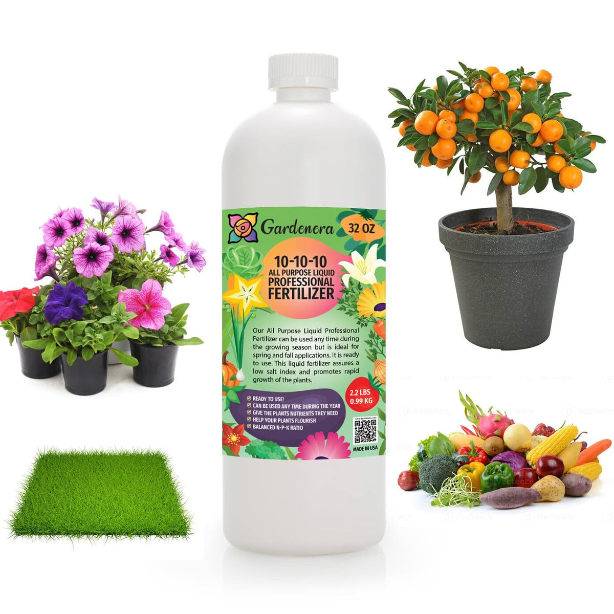 Gardenera Premium ???-??????? ??-??-?? ?????? ?????????? for Lawns, Plants,  Vegetables, Fruits & Flowers, Liquid Plant Food 10-10-10 for Indoor/Outdoor  Plants (32 OZ)