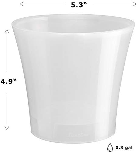 Santino Arte 5.3 in. Self-Watering Planter