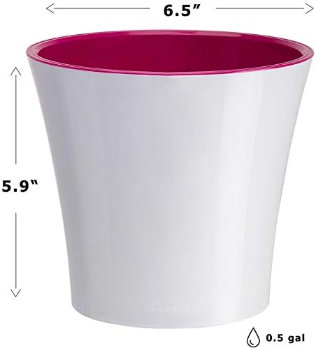 Gardenera 6.5" ARTE Self Watering Planter in WHITE/PURPLE - Indoor Flower Pot for All House Plants, Flowers, Herbs, Succulents, Orchideas, Dahlias and African Violets