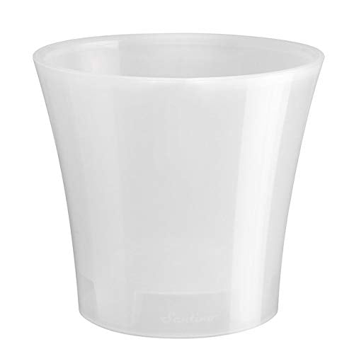 Santino Arte 5.3 in. Self-Watering Planter