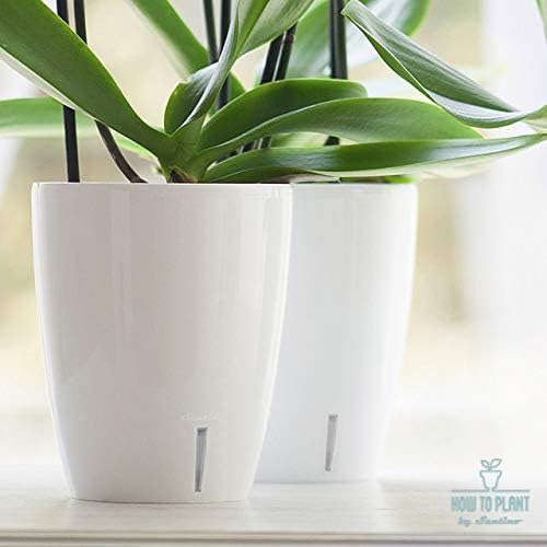 Santino 4.9 Inch ORCHIDEA Self Watering Pots for Orchids in Transparent (Set of 3) - Decorative Wicking Planter with w/Great Aerification, Drainage and Water Level Indicator