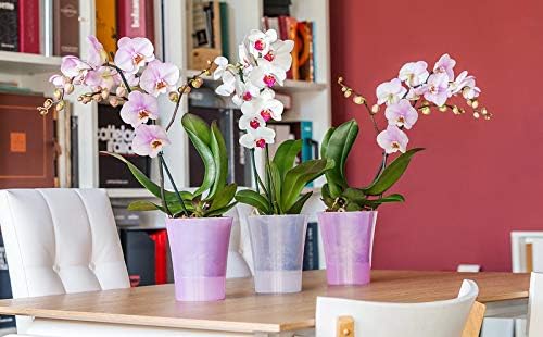 Gardenera 4.9" ARTE-DEA Self Watering Planters (SET of 3) in PINK - Indoor Flower Pot for All House Plants, Flowers and Orchids