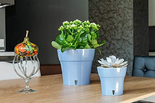 Gardenera 6.5" DALI Self Watering Planter in SMOKY GRAY-GRAY - Modern Flower Pot with Water Level Indicator for All House Plants, Flowers, Herbs, Succulents and Orchids