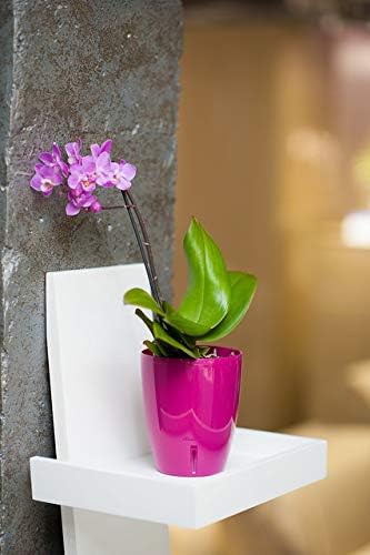 Santino 4.9 Inch ORCHIDEA Self Watering Pots for Orchids in Lilac - Decorative Wicking Planter with w/Great Aerification, Drainage and Water Level Indicator