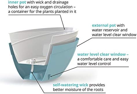 Santino Self Watering Planter CALIPSO L 13.5 Inch x H 5.1 Inch Transparent, Indoor Flower Pot for All House Plants, Flowers
