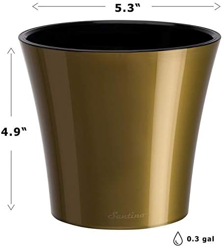 Santino 5.3 Inch ARTE Self Watering Planter in Gold/Black Indoor Flower Pot for All House Plants, Flowers and Orchids