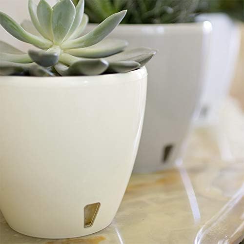 Santino, Self Watering Planter Deco 7.9 Inch, White , Indoor Decorative Flower Pot with Drainage Cartridge and Water Level Indicator