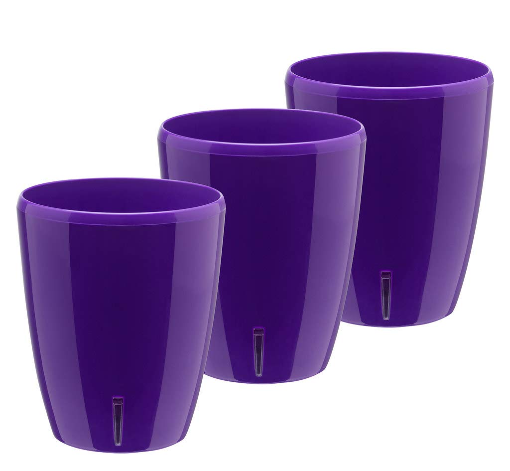 Santino 5.9 Inch ORCHIDEA Self Watering Pots for Orchids in Violet (Set of 3) - Decorative Wicking Planter with w/Great Aerification, Drainage and Water Level Indicator