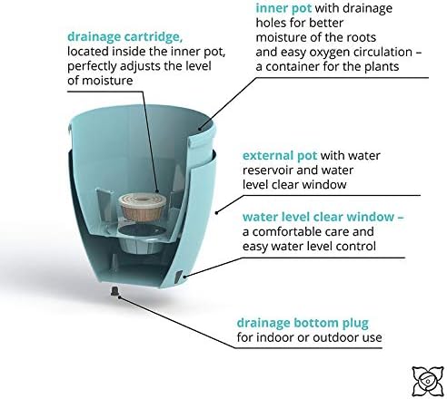 Santino Self Watering Planter Deco 11.2 Inch in Transparent - Indoor Decorative Flower Pot with Water Level Indicator and Drainage Cartridge for All House Plants, Flowers, Herbs and Succulents