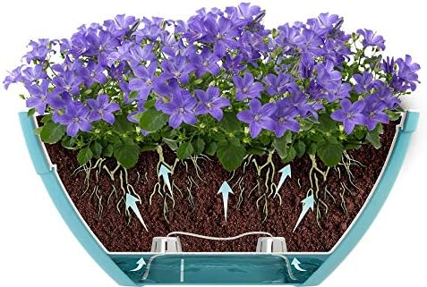 Santino Self Watering Planter CALIPSO Oval Shape L 13.7 Inch x H 5.9 Inch White/White Indoor Flower Pot for All House Plants, Flowers