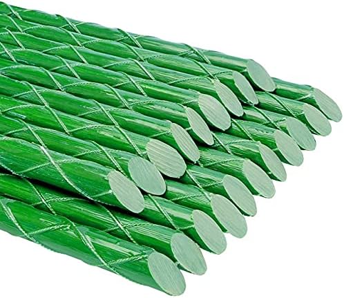 Eco-Friendly 2-FT Fiberglass Garden Stakes, Tomato Stakes, Plant Stakes (Pack of 20), 0.25-Inch Dia