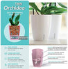 Santino 5.9 Inch ORCHIDEA Self Watering Pots for Orchids in Lilac (Set of 3) - Decorative Wicking Planter with w/Great Aerification, Drainage and Water Level Indicator