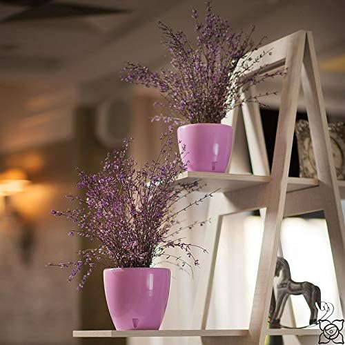 Santino Self Watering Planter Deco 8.8 Inch in Lavender - Indoor Decorative Flower Pot with Water Level Indicator and Drainage Cartridge for All House Plants, Flowers, Herbs and Succulents