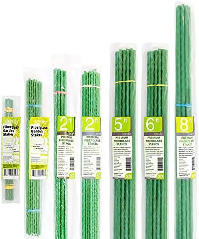 GALEN PANAMERICA Eco-Friendly 1-FT Fiberglass Garden Stakes, Tomato Stakes, Plant Stakes (Pack of 50), 0.16-Inch Dia