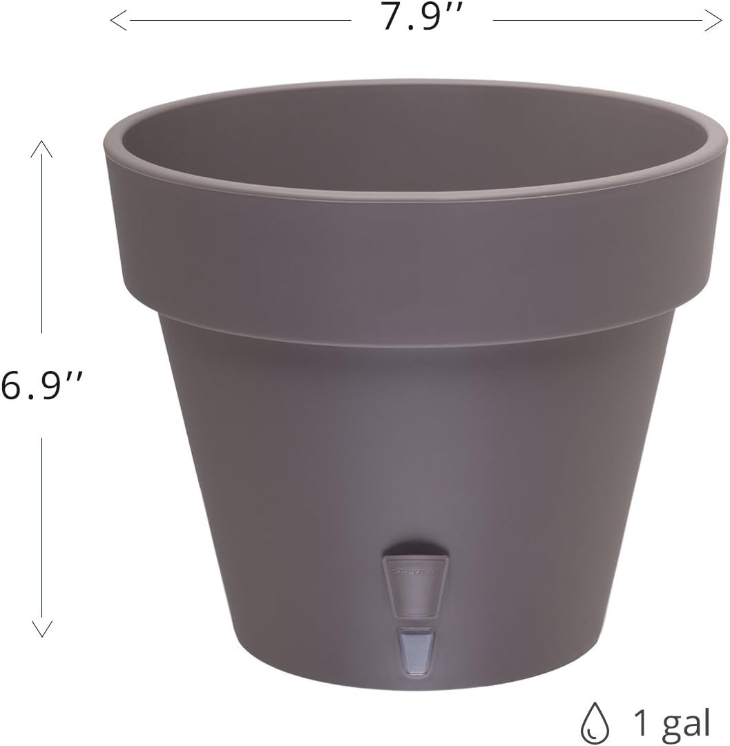 Self Watering Planter Latina 7.9 Inch,Graphite,Indoor/Outdoor Flower Pot with Bottom Watering and Water Level Indicator for All Plants, Flowers, Herbs