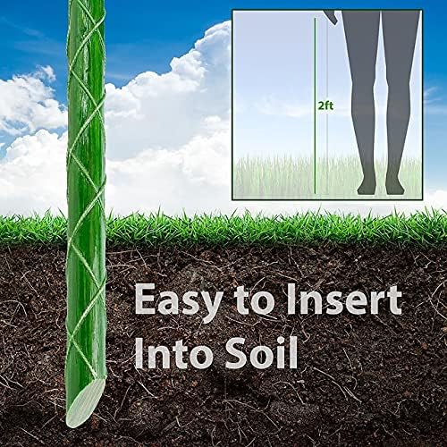 Eco-Friendly 2-FT Fiberglass Garden Stakes, Tomato Stakes, Plant Stakes (Pack of 20), 0.25-Inch Dia