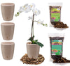 Gardenera PREMIUM Orhid Growing Kit - SET of 4-4.9