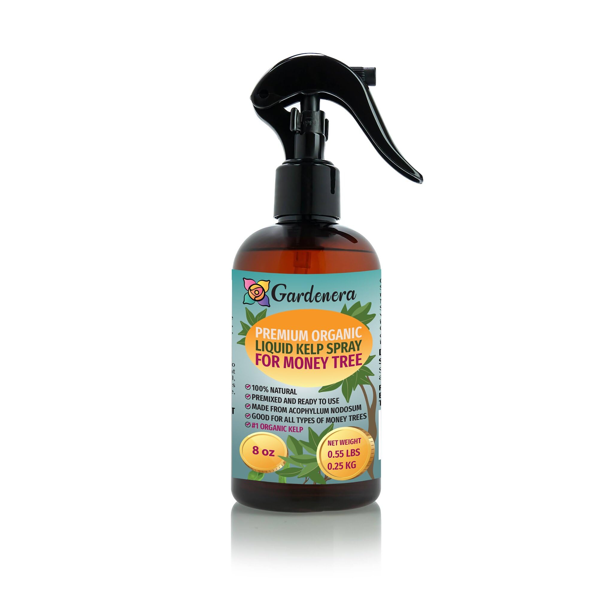 Gardenera Premium Organic Liquid Kelp Spray for MONEY TREE - 8 oz - Organic Superfood Spray for Strong and Healthy Money Trees