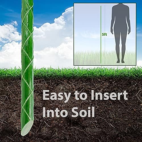 GALEN PANAMERICA Eco-Friendly 5-FT Fiberglass Garden Stakes, Tomato Stakes, Plant Stakes (Pack of 20), 0.40-Inch Dia