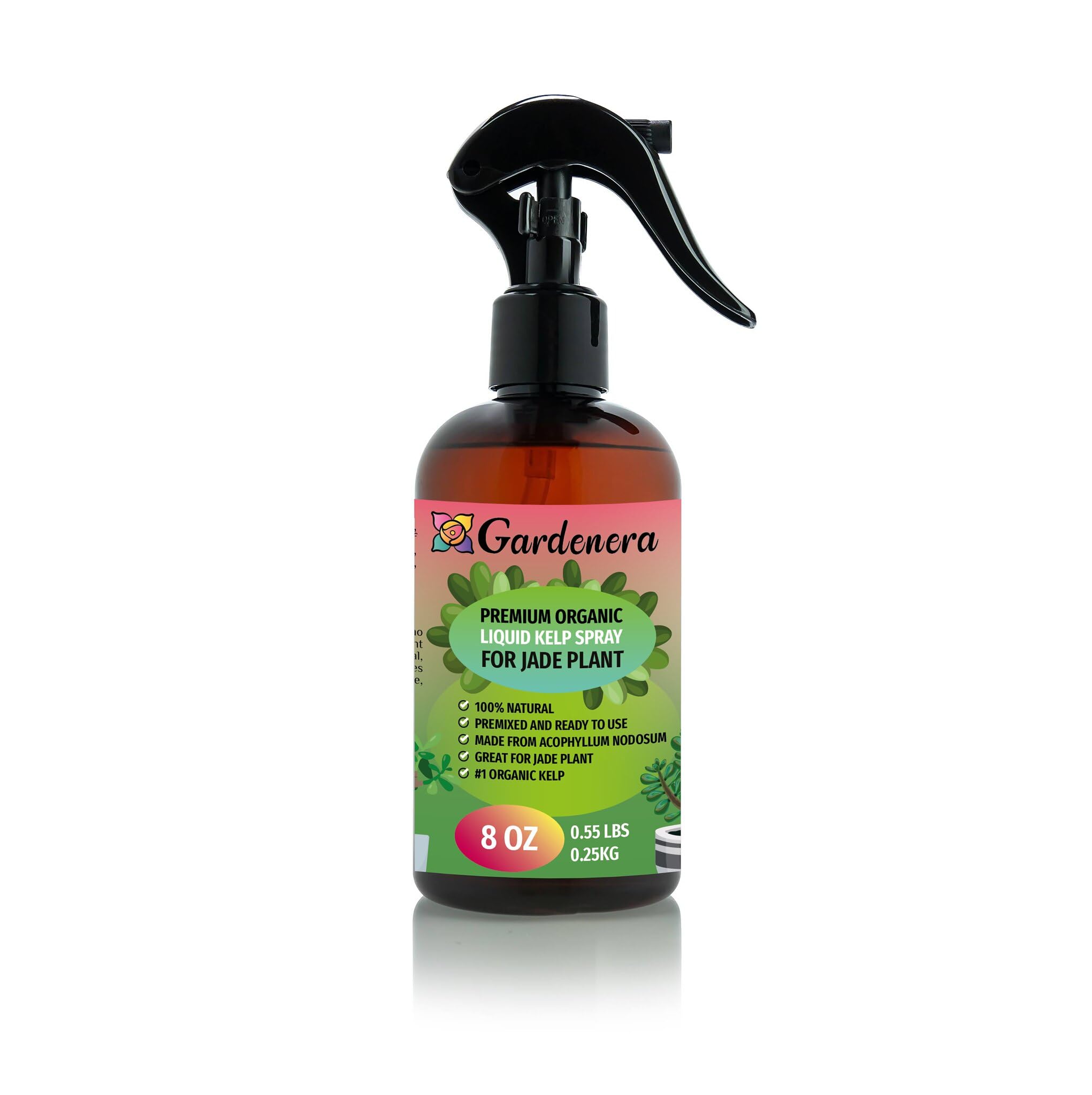 Gardenera Premium Organic Liquid Kelp Spray for JADE PLANTS - 8 oz - Natural Superfood Spray to Maximize Leaf Size and Health