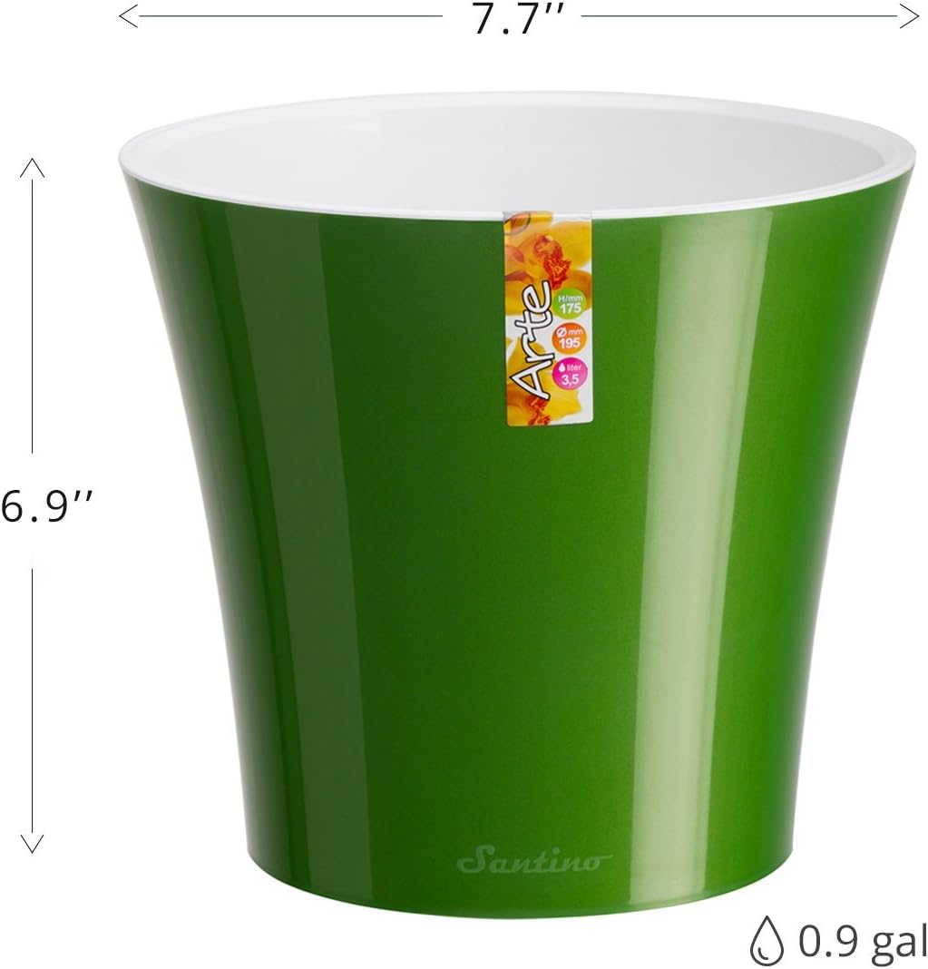 Santino Self Watering Planter Arte 7.7 Inch Transparent Indoor Flower Pot for All House Plants, Flowers, Herbs, Succulents