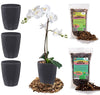 Gardenera PREMIUM Orhid Growing Kit - SET of 4-4.9