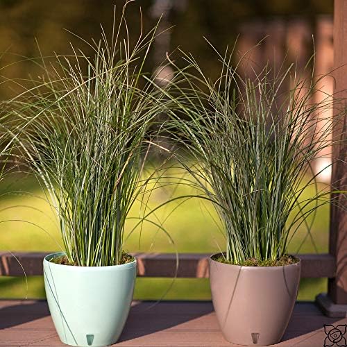 Santino 8.8 Inch Deco Self Watering Pots for Indoor Plants in Shade (Set of 3) - Decorative Flower Pot with Water Level Indicator and Drainage Cartridge for All House Plants, Flowers and Herbs