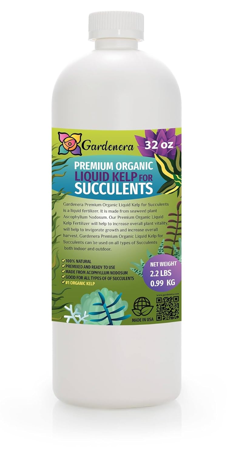 best water for succulents GARDENERA Concentrated Kelp & Seaweed Extract for Succulents and Cacti - 16 oz