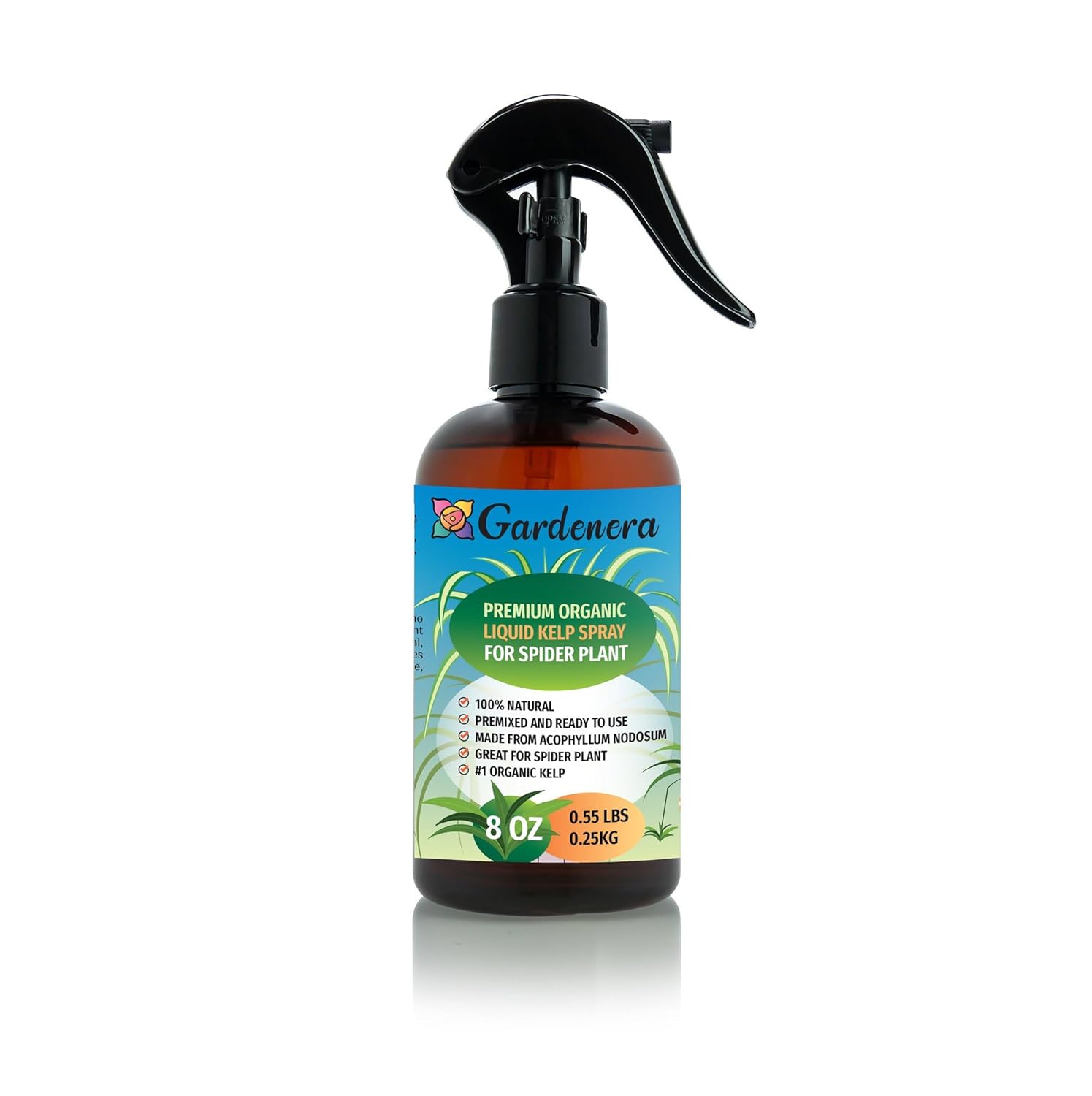 Gardenera Premium Organic Liquid Kelp Spray for SPIDER PLANTS - 8 oz - Natural Superfood Spray to Maximize Leaf Size and Health