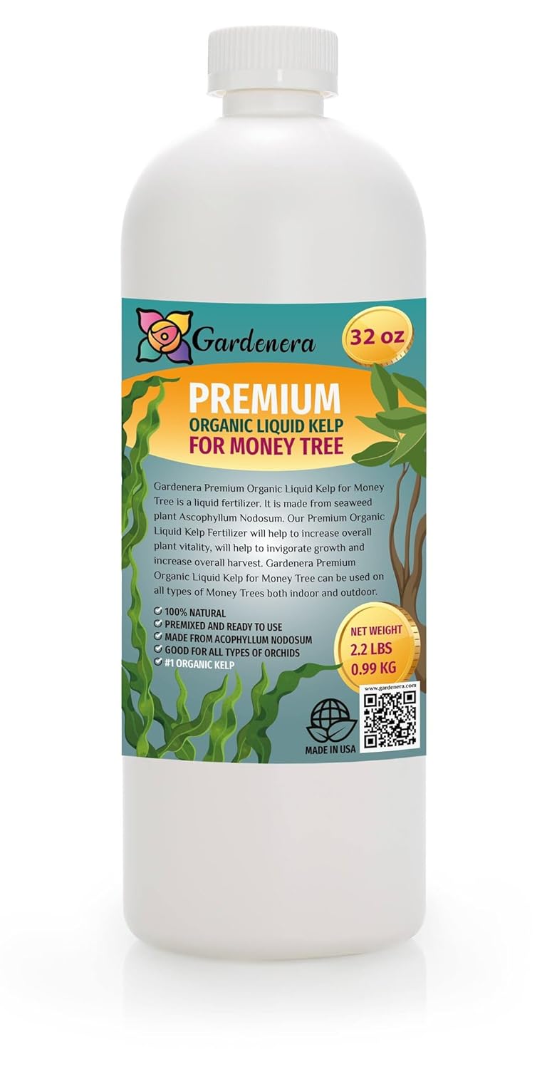 GARDENERA Money Tree Superfood - 32 oz - Premium Liquid Kelp Fertilizer for Stunning Money Tree Displays