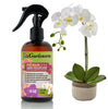 Gardenera Proffesional PHALAENOPSIS Spray Fertilizer Mist for Home Gardening | 3-1-2 Gentle Blend Mist for Healthy Leaves & Growth | Essential Nutrients for All Orchids - 8oz