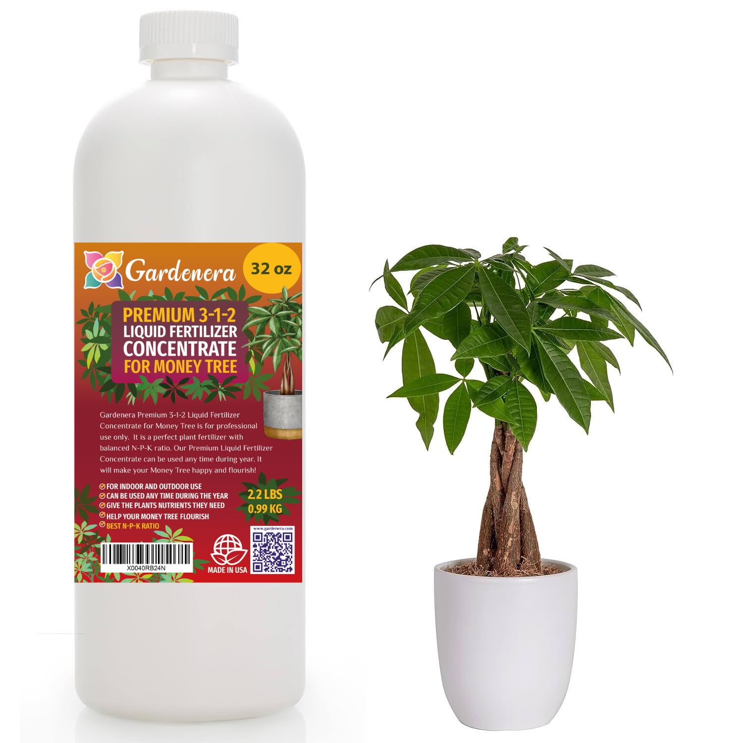 proper soil for money tree Premium Liquid MONEY TREE Plant Fertilizer - 3-1-2 Concentrate for Indoor Plants and Flowers by Gardenera | Organic Plant Food for MONEY TREE