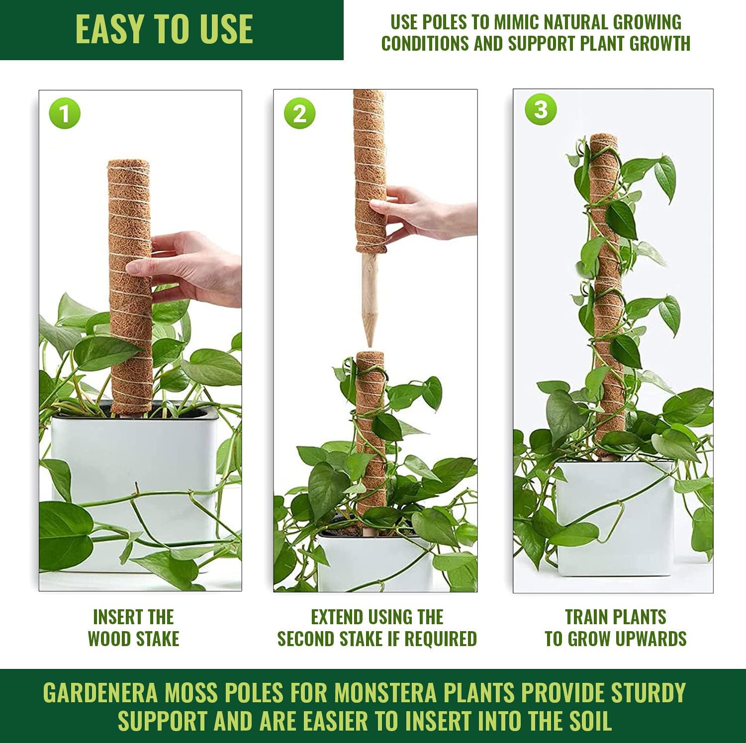 best monstera support Best Coco Coir Poles for Monstera (Pack of 4)