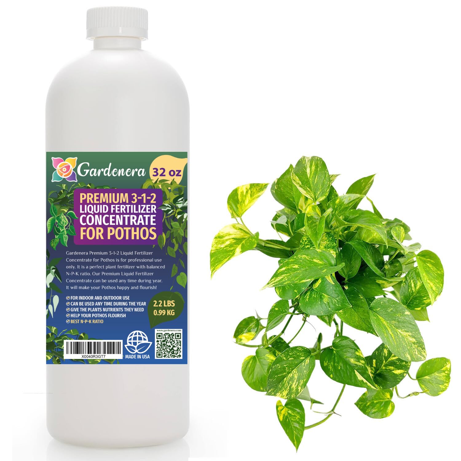 Premium Liquid POTHOS Plant Fertilizer - 3-1-2 Concentrate for Indoor Plants and Flowers by Gardenera | Organic Plant Food for Pothos Plants - 32oz