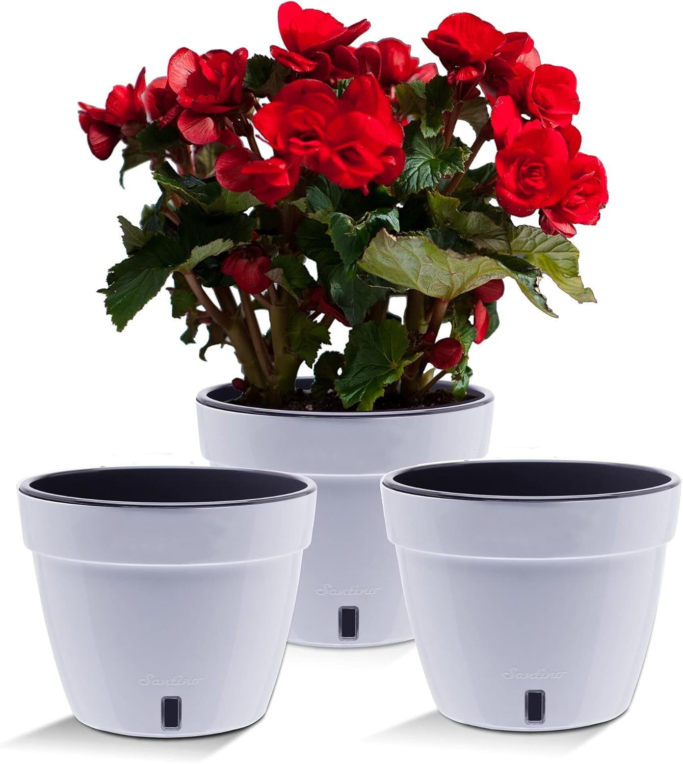 Santino ASTI 11.8 Inch Self Watering Planters White/Black (Set of 3) for Indoor Plants - Premium Quality Modern Plastic Pot w/Water Level Indicator for All House Plants, African Violets and Dahlias