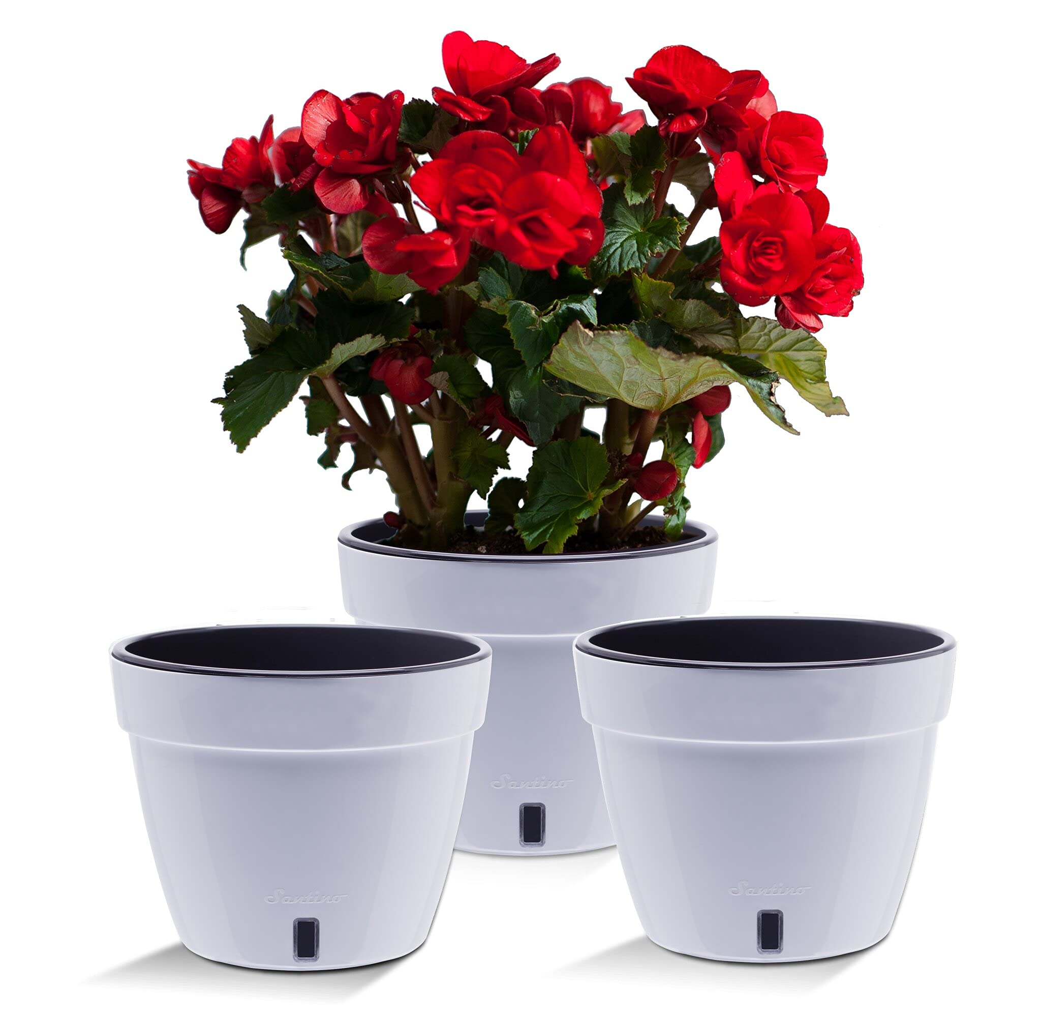 Santino ASTI 11.8 Inch Self Watering Planters White/Black (Set of 3) for Indoor Plants - Premium Quality Modern Plastic Pot w/Water Level Indicator for All House Plants, African Violets and Dahlias