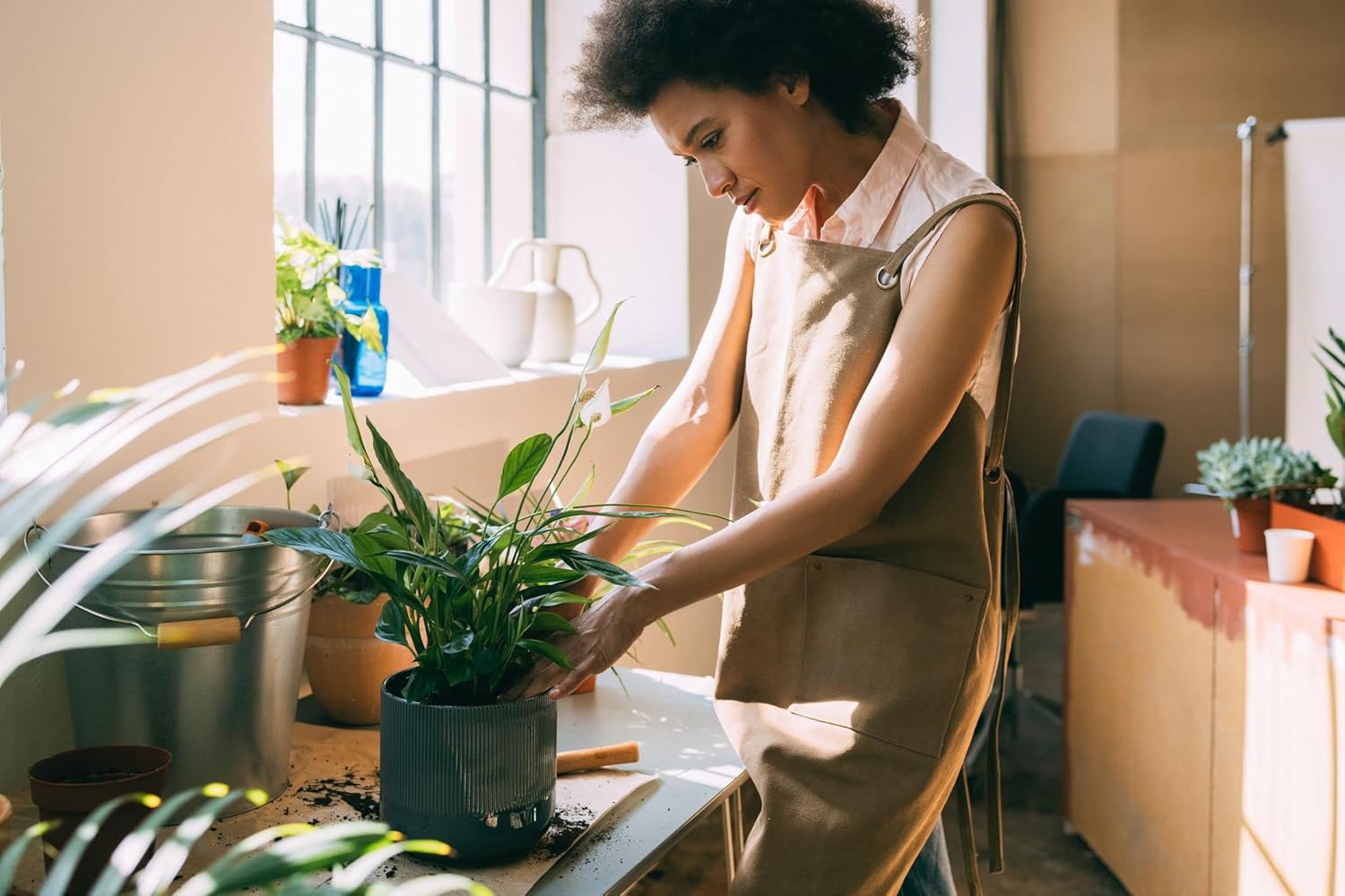 Gardenera's Professional Grade Mix for Stunning Peace Lilies: The Essential Ingredient for Indoor Plant Success [10-Quart Bag]