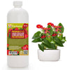 anthurium flowers fertilizer Premium Liquid Anthurium Plant Fertilizer - 3-1-2 Concentrate for Indoor Plants and Flowers by Gardenera