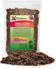 GARDENERA Premium Dracaena Potting Soil Mix - (10 Quart Bag)