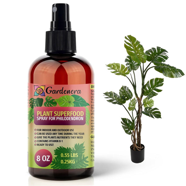 food for philodendron Plant Superfood for PHILODENDRON Plants with B1 Vitamin, Glucose and E –  Gardenera.com