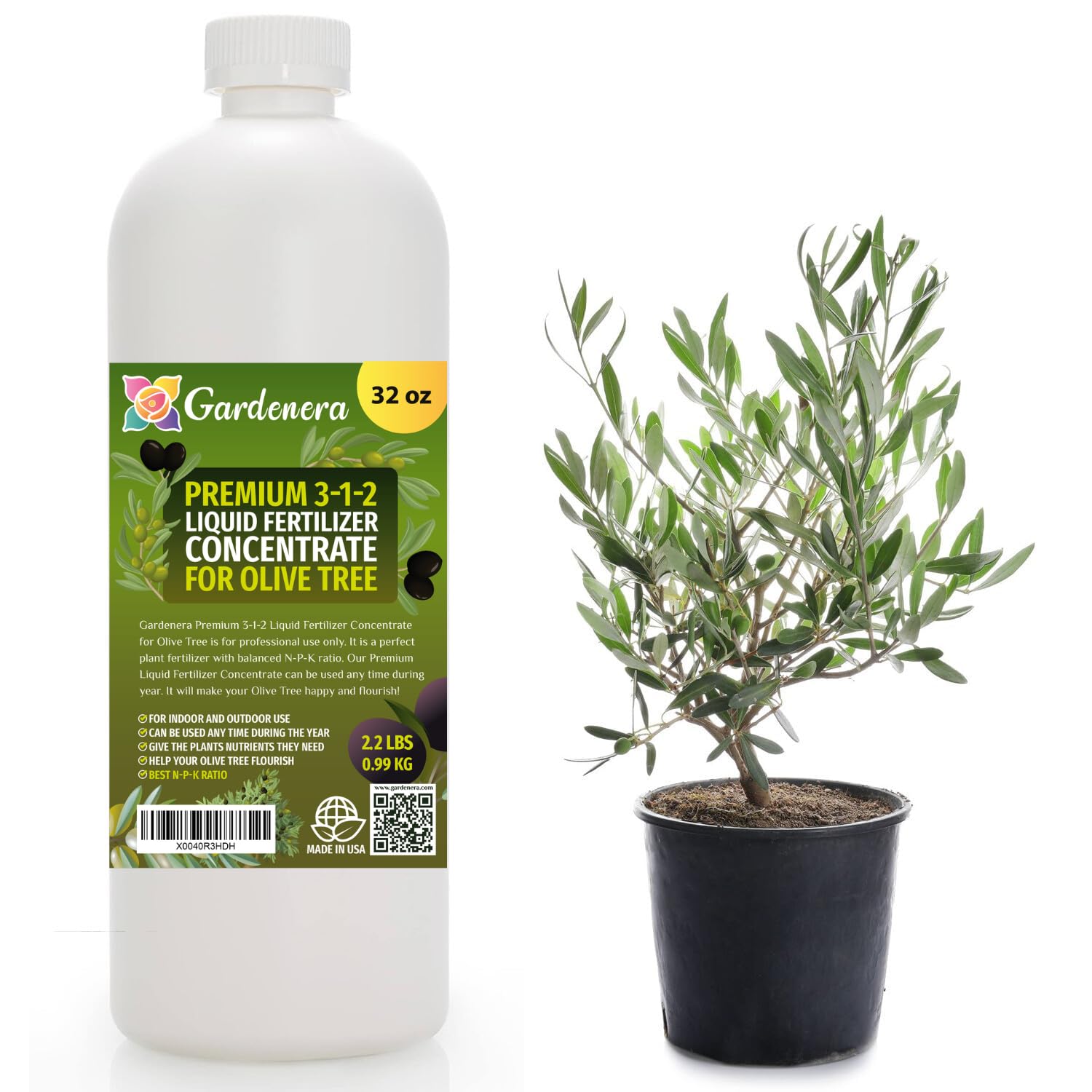 plant food for olive trees in pots Premium Liquid Olive Tree Plant Fertilizer - 3-1-2 Concentrate for Indoor Plants and Flowers by Gardenera | Organic Plant Food for Olive Trees