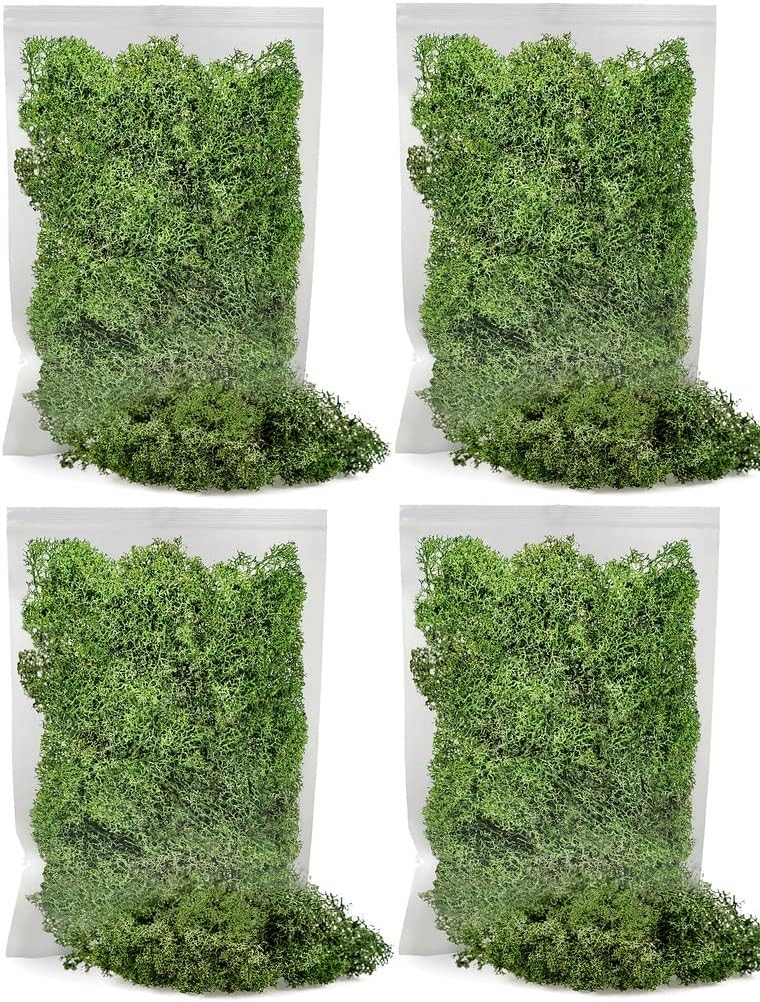 GARDENERA Premium Preserved Reindeer Moss - 10 Quart- Best for Potted Plants, Terrariums, Fairy Gardens, Arts and Crafts or Floral Decor Design in Basil Green (2 Bags of 5 Quart)