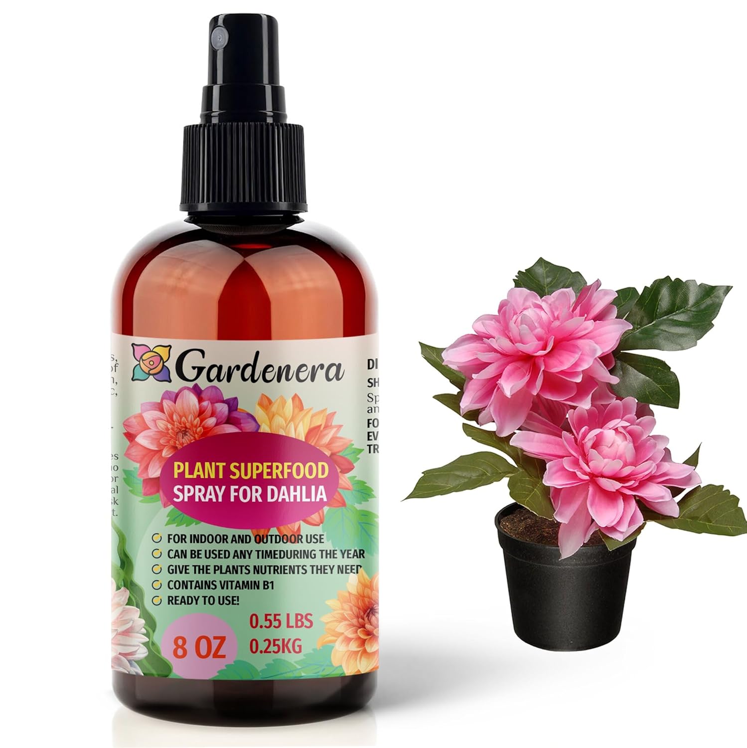 fertilizer for dahlia plant Plant Superfood for DAHLIA Plants with B1 Vitamin, Glucose and Essential Minerals