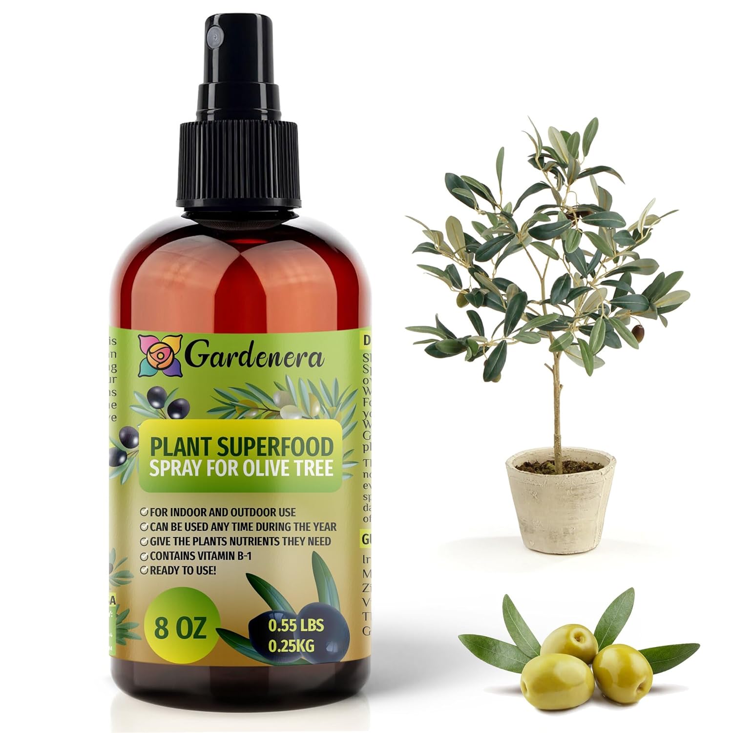 Plant Superfood for OLIVE TREE with B1 Vitamin, Glucose and Essential Minerals - Organic Plant Food Fertilizer for Indoor & Outdoor OLIVE TREES - 8oz