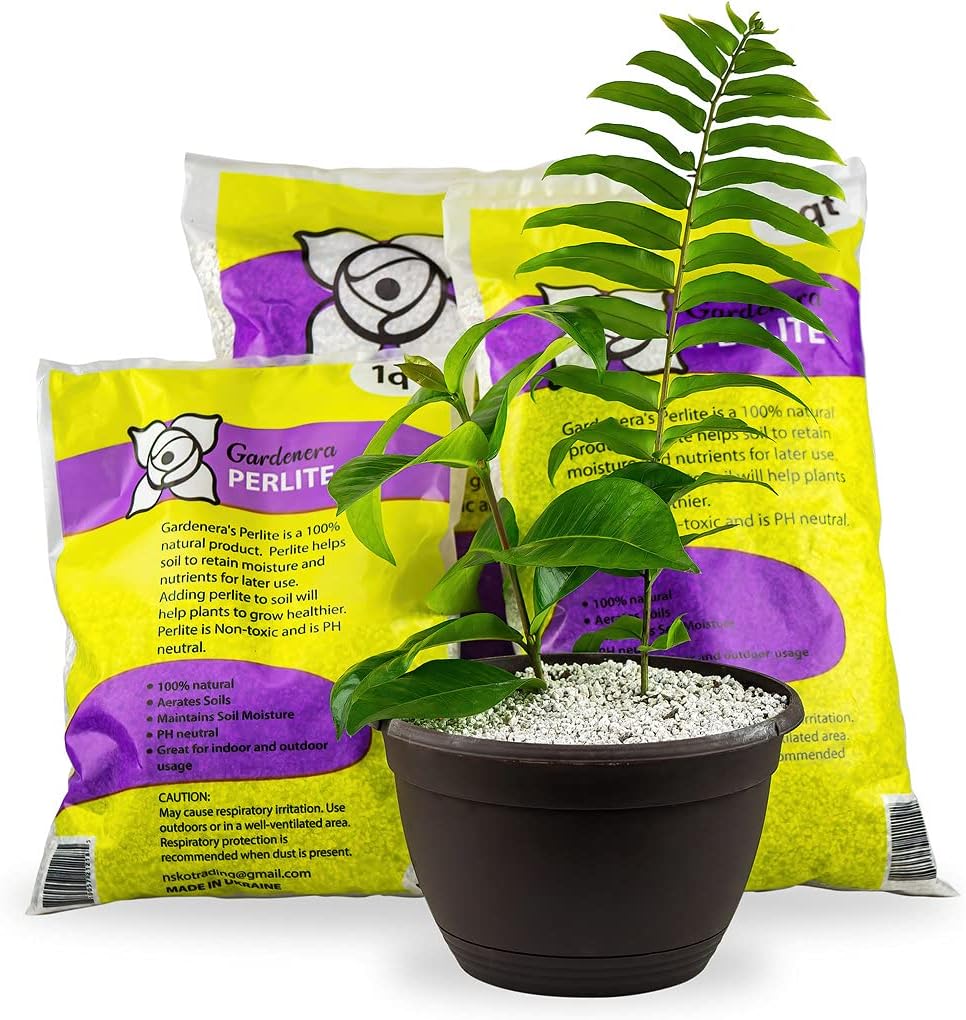 Gardenera Organic Perlite - Medium/Fine Grade (1 Quart Bag) Horticultural Soil Amendment for Indoor & Outdoor Container Plants for Drainage Management and Enhanced Growth