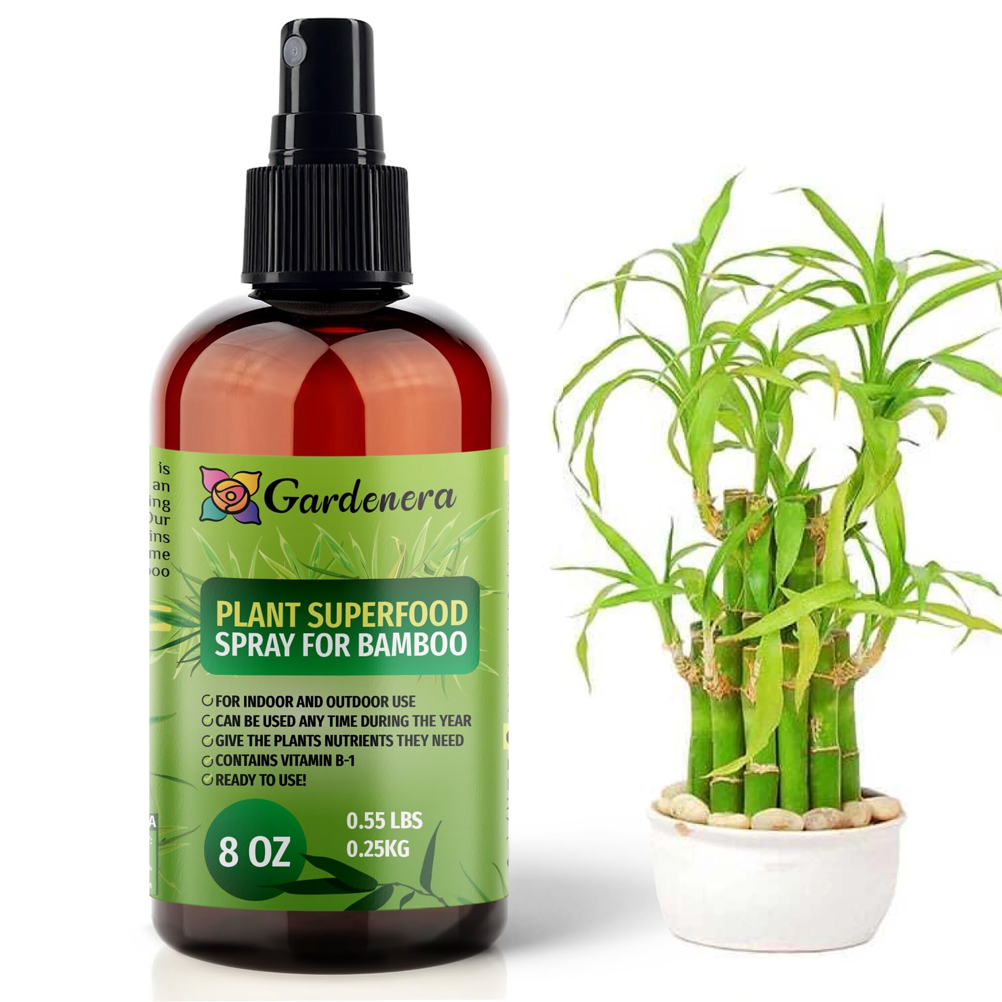 Plant Superfood for BAMBOO Plants with B1 Vitamin, Glucose and Essential Minerals - Organic Plant Food Fertilizer for Indoor & Outdoor BAMBOO Plant Care - 8oz