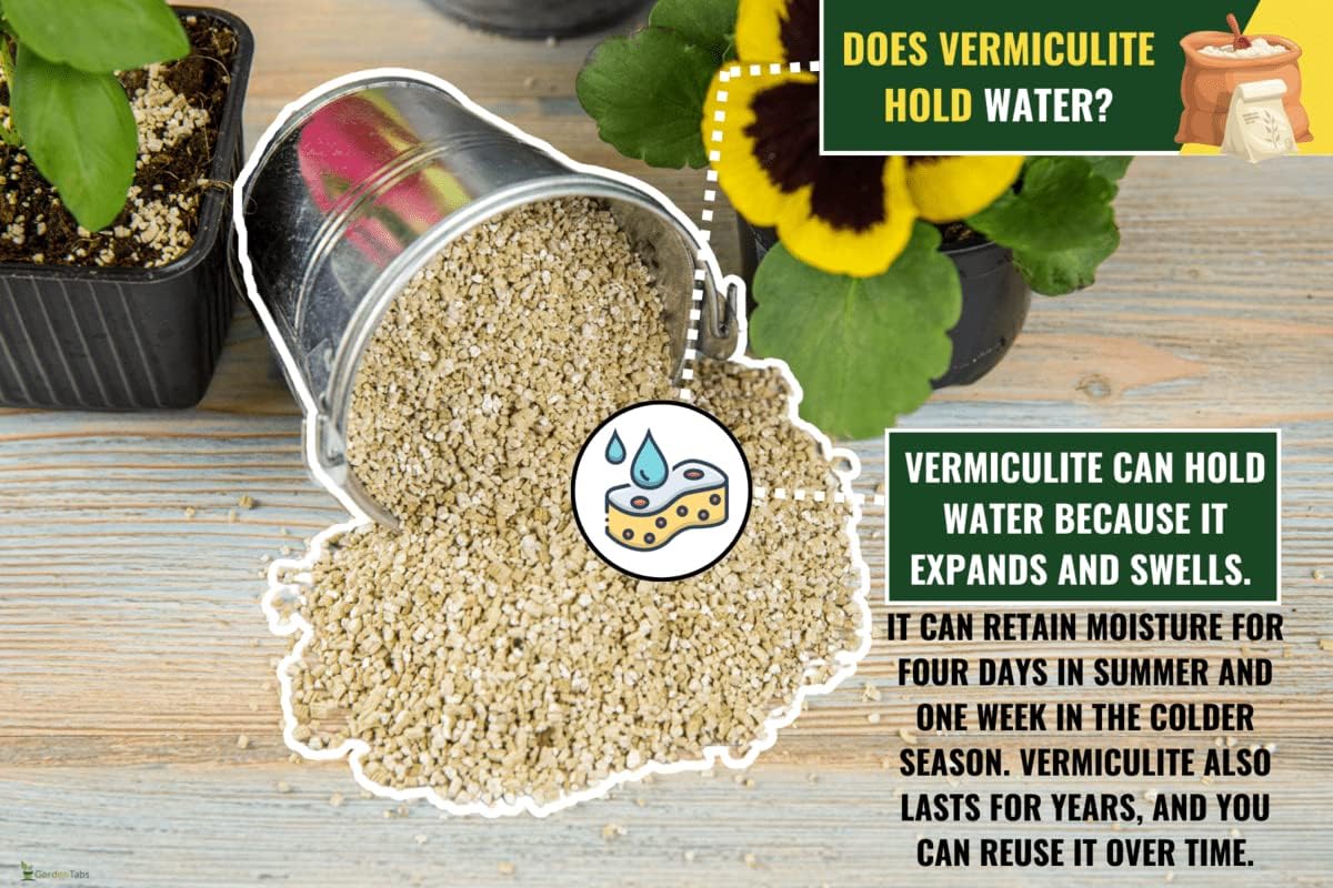 Enjoy Beautiful and Lush Plants with Gardenera's Horticultural Vermiculite - The Best Soil Amendment for Garden Enthusiasts - 3 QUART